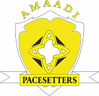 Amaadi logo